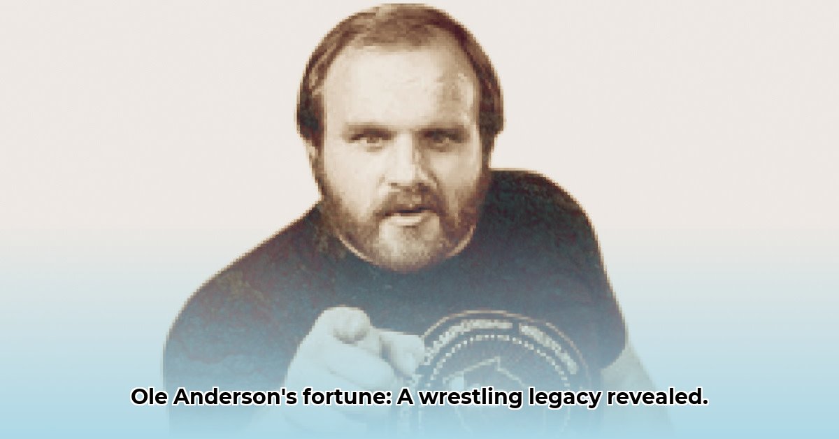 ole-anderson-net-worth